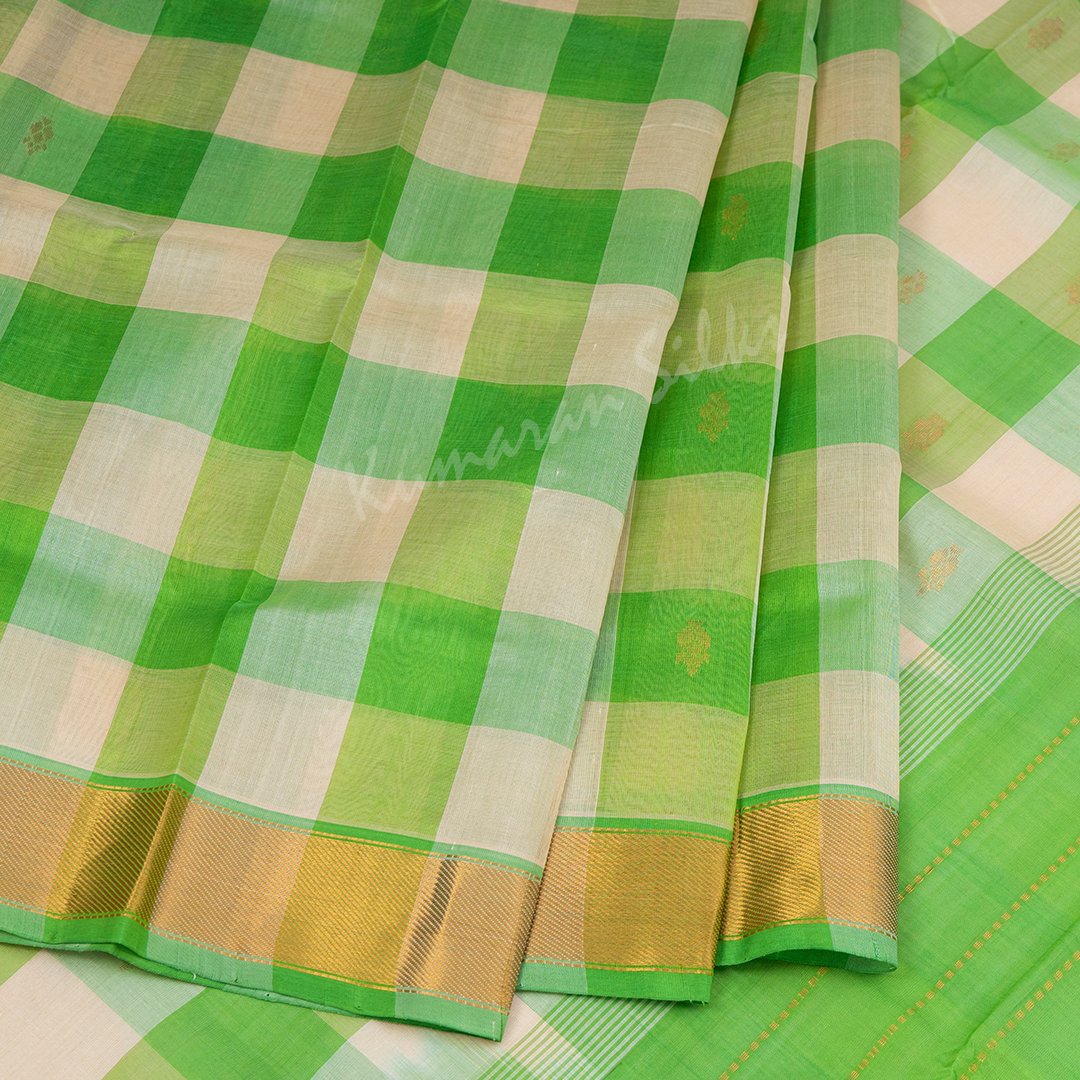 Amirthavarshni Green And Cream Checked Silk Cotton Saree 04