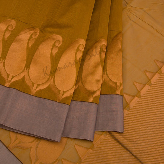 Silk Cotton Embroidered Brown Saree 02