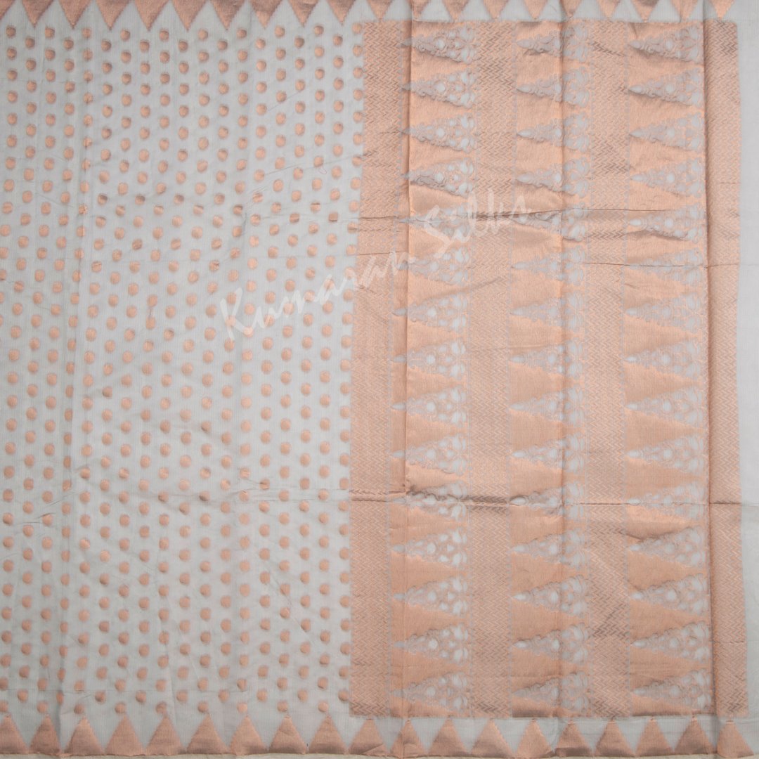 Silk Cotton Embroidered Grey Saree 09