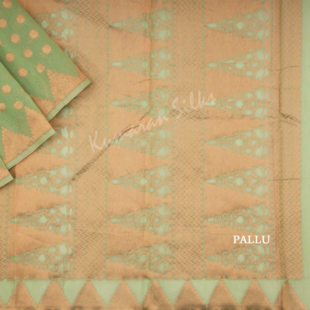 Silk Cotton Embroidered Light Green Saree 04