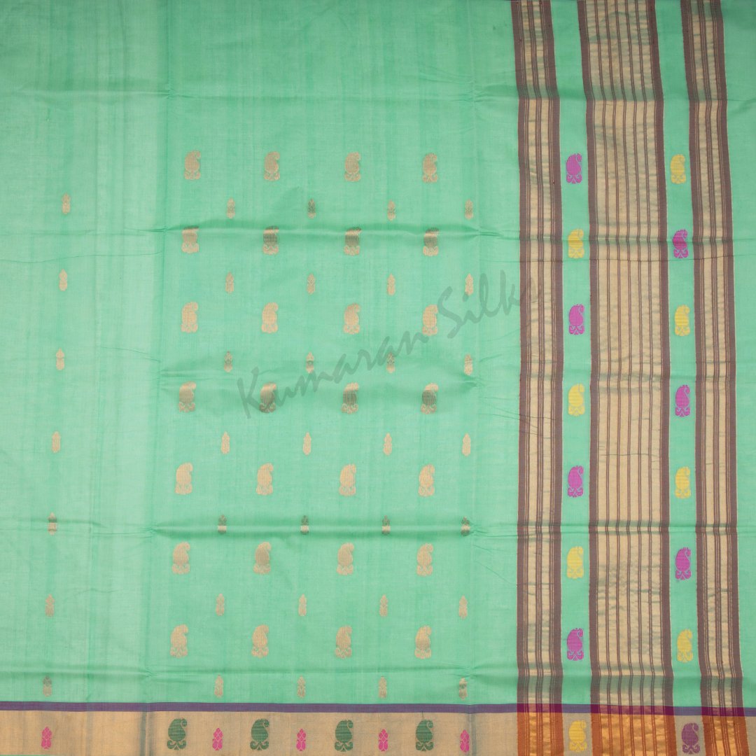 Venkatagiri Handloom Cotton Mint Green Saree Without Blouse 02
