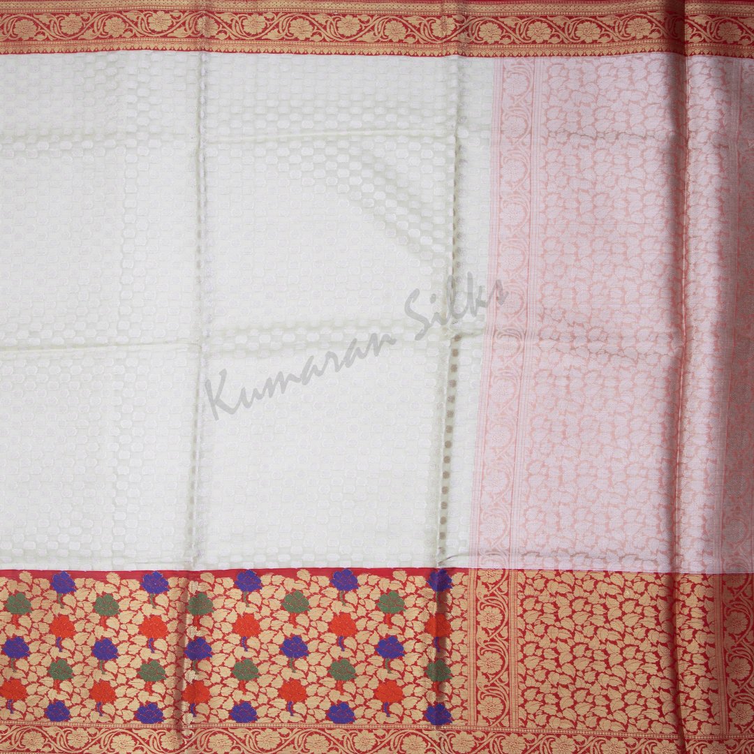 Tissue Embroidered Cream Saree
