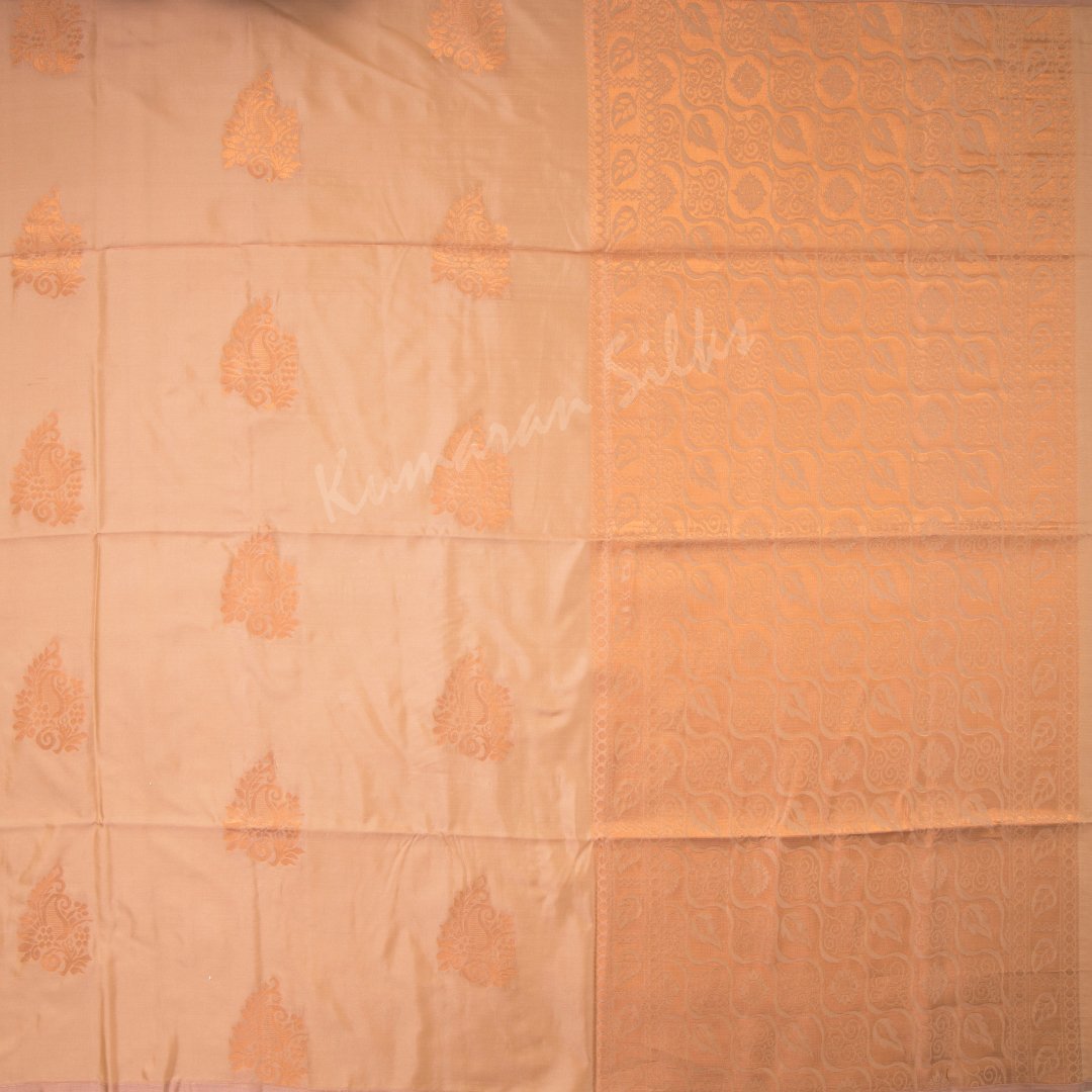Semi Soft Silk Peanut Brown Borderless Saree With Mango Buttas On The Body And Leaf Design On The Pallu